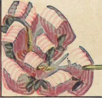 Picture 23 of 34 from Wall papers and cretonnes, 1911 (1911), leaf 8
