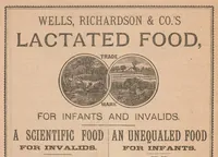 An illustration from The Diamond dye almanac and household guide : 1888 / Wells, Richardson & Co. (1888)