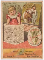 An illustration from The Diamond dye almanac and household guide : 1888 / Wells, Richardson & Co. (1888)
