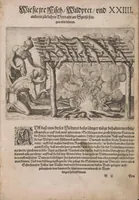 Picture 8 of 12 from Wunderbarliche, doch warhafftige Erklärung von der Gelegenheit vnd Sitten der Wilden in Virginia ... (1590), leaf 223