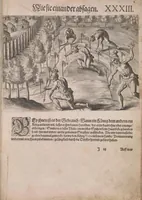 Picture 9 of 12 from Wunderbarliche, doch warhafftige Erklärung von der Gelegenheit vnd Sitten der Wilden in Virginia ... (1590), leaf 239