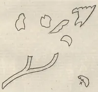 An illustration from The Young Ladies' Journal Complete Guide to the Work-Table Sixth Edition 1888 (1888)