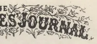 An illustration from The Young Ladies' Journal Complete Guide to the Work-Table Sixth Edition 1888 (1888)