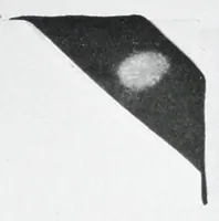 An illustration from Zinc oxide and its application to paint / by L.H. Trott. (1928)