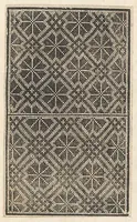 Picture 7 of 17 from Esemplario di lavori, dove le tenere fanciullealtre donne nobile potranno facilmente imparare il modoordine di lavorare, cusire, raccamare,finalmente far tutte quelle gentilezzelodevoli opere, le quali po' fare una donna virtuosa con laco [!] in mano, con li suoi compassi, misure. (1529), leaf 13