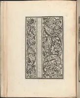 Picture 3 of 17 from Esemplario di lavori, dove le tenere fanciullealtre donne nobile potranno facilmente imparare il modoordine di lavorare, cusire, raccamare,finalmente far tutte quelle gentilezzelodevoli opere, le quali po' fare una donna virtuosa con laco [!] in mano, con li suoi compassi, misure. (1529), leaf 6