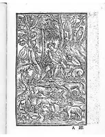 An illustration from Conuiuio delle belle donne. Dove con li nuovi raccami lavorieri con giusta misura (1532)
