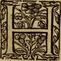 An illustration from Aarons rod blossoming, or, the divine ordinance of church government vindicated ... (1646)
