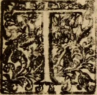 An illustration from Aarons rod blossoming, or, the divine ordinance of church government vindicated ... (1646)