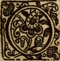 An illustration from Aarons rod blossoming, or, the divine ordinance of church government vindicated ... (1646)