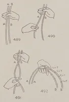 An illustration from Abbott's encyclopedia of rope tricks (1900)