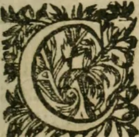 An illustration from Abbrégé de la jurisprudence romaine : avec son rapport à ce qui est de notre usage (1653)