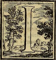 An illustration from Abcedario pittorico : nel quale compendiosamente sono descritte le patrie, i maestri, ed i tempi, ne' quali fiorirono circa quattro mila professori di pittura, di scultura, e d'architettura : diviso in tre parti ... (1704)