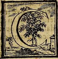 An illustration from Abcedario pittorico : nel quale compendiosamente sono descritte le patrie, i maestri, ed i tempi, ne' quali fiorirono circa quattro mila professori di pittura, di scultura, e d'architettura : diviso in tre parti ... (1704)