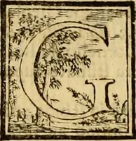 An illustration from Abcedario pittorico : nel quale compendiosamente sono descritte le patrie, i maestri, ed i tempi, ne' quali fiorirono circa quattro mila professori di pittura, di scultura, e d'architettura : diviso in tre parti ... (1704)