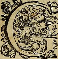 An illustration from Abcedario pittorico : nel quale compendiosamente sono descritte le patrie, i maestri, ed i tempi, ne' quali fiorirono circa quattro mila professori di pittura, di scultura, e d'architettura : diviso in tre parti ... (1704)