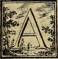 An illustration from Abcedario pittorico : nel quale compendiosamente sono descritte le patrie, i maestri, ed i tempi, ne' quali fiorirono circa quattro mila professori di pittura, di scultura, e d'architettura : diviso in tre parti ... (1704)