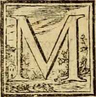 An illustration from Abcedario pittorico : nel quale compendiosamente sono descritte le patrie, i maestri, ed i tempi, ne' quali fiorirono circa quattro mila professori di pittura, di scultura, e d'architettura : diviso in tre parti ... (1704)