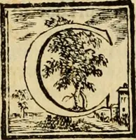 An illustration from Abcedario pittorico : nel quale compendiosamente sono descritte le patrie, i maestri, ed i tempi, ne' quali fiorirono circa quattro mila professori di pittura, di scultura, e d'architettura : diviso in tre parti ... (1704)