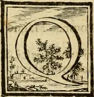 An illustration from Abcedario pittorico : nel quale compendiosamente sono descritte le patrie, i maestri, ed i tempi, ne' quali fiorirono circa quattro mila professori di pittura, di scultura, e d'architettura : diviso in tre parti ... (1704)