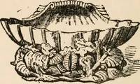 Picture 51 of 66 from The ABC of collecting old English china, giving short history of the English factories, and showing how to apply tests for unmarked china before 1800 (1908), leaf 119