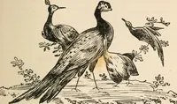 An illustration from The ABC of collecting old English china, giving short history of the English factories, and showing how to apply tests for unmarked china before 1800 (1908)