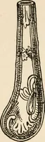 An illustration from The ABC of collecting old English china, giving short history of the English factories, and showing how to apply tests for unmarked china before 1800 (1908)