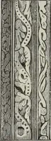 An illustration from Abécédaire, ou, Rudiment d'archéologie : architecture religieuse (1886)