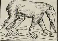 An illustration from Abécédaire, ou, Rudiment d'archéologie : architecture religieuse (1886)