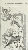 Picture 270 of 723 from Abécédaire, ou, Rudiment d'archéologie : architecture religieuse (1886), leaf 294