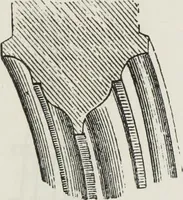 An illustration from Abécédaire, ou, Rudiment d'archéologie : architecture religieuse (1886)