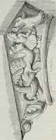 Picture 271 of 726 from Abecedaire ou rudiment d'archelogie : architecture religieuse ... (1867), leaf 292