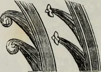 An illustration from Abecedaire ou rudiment d'archelogie : architecture religieuse ... (1867)