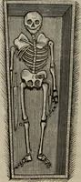 An illustration from Abecedaire ou rudiment d'archelogie : architecture religieuse ... (1867)