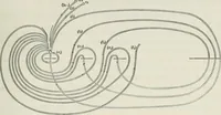 An illustration from Abel's theorem and the allied theory, including the theory of the theta functions (1897)