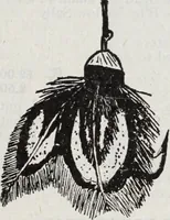 Picture 335 of 541 from Abercrombie & Fitch Co., New York : outfitting catalogue. (1916), leaf 114