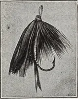 Picture 338 of 541 from Abercrombie & Fitch Co., New York : outfitting catalogue. (1916), leaf 115