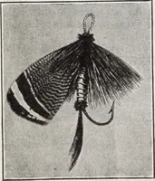 Picture 339 of 541 from Abercrombie & Fitch Co., New York : outfitting catalogue. (1916), leaf 115
