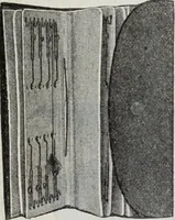 An illustration from Abercrombie & Fitch Co., New York : outfitting catalogue. (1916)
