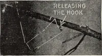 Picture 438 of 541 from Abercrombie & Fitch Co., New York : outfitting catalogue. (1916), leaf 137