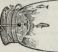 An illustration from Abercrombie & Fitch Co., New York : outfitting catalogue. (1916)