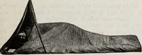 Picture 26 of 541 from Abercrombie & Fitch Co., New York : outfitting catalogue. (1916), leaf 16