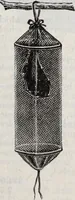 An illustration from Abercrombie & Fitch Co., New York : outfitting catalogue. (1916)