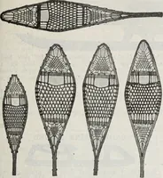 An illustration from Abercrombie & Fitch Co., New York : outfitting catalogue. (1916)