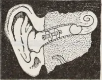 An illustration from Abercrombie & Fitch Co., New York : outfitting catalogue. (1916)