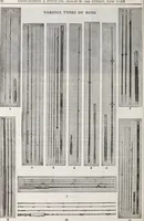 An illustration from Abercrombie & Fitch Co., New York : outfitting catalogue. (1916)
