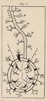 An illustration from Aberglaube und zauberei von den ältesten zeiten an bis in die gegenwart (1898)