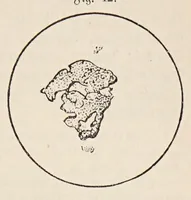 An illustration from Aberglaube und zauberei von den ältesten zeiten an bis in die gegenwart (1898)