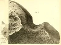 An illustration from Abhandlungen der Königlichen Akademie der Wissenschaften in Berlin (1822)