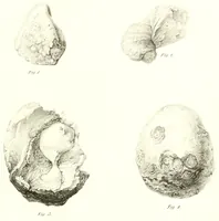 An illustration from Abhandlungen der Königlichen Akademie der Wissenschaften in Berlin (1822)